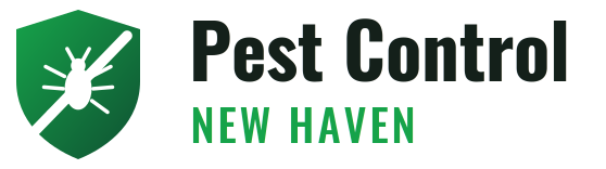 New Haven Pest Control